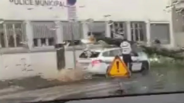 [VIDEO] - Orage à Lyon : « Oups ! » un arbre tombe sur une voiture de police municipale