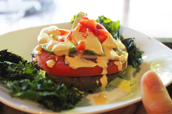 puravegan 6