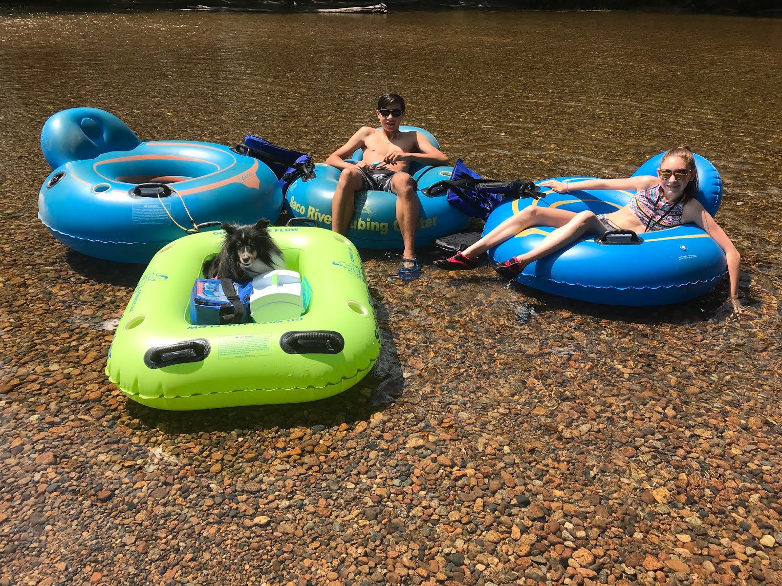 Evan and Lauren's Cool Blog: Saco River Tubing Fun for the Whole Family!