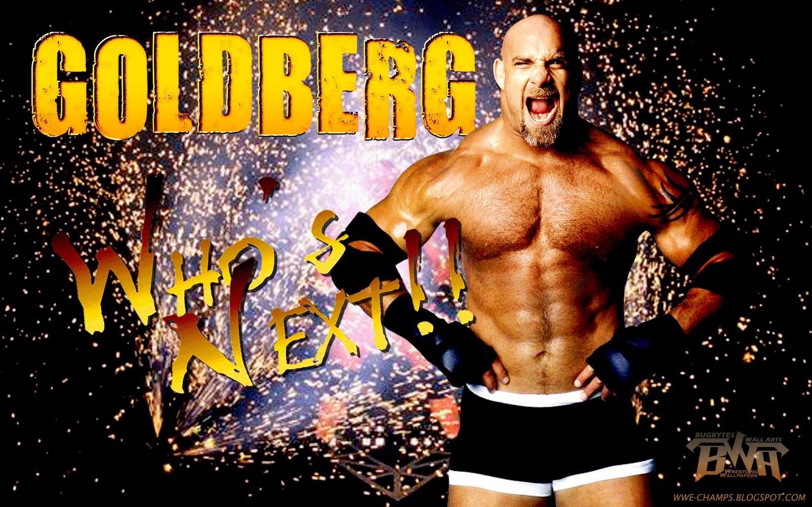 WWE CHAMPS: BILL GOLDBERG 'WHO'S NEXT?'