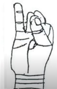 Mudra of Digestion