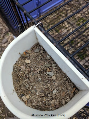 contractors sand in a chickens feed cup.