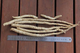 Skirret for sale Australia