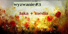 http://hubka38.blogspot.com/2016/06/wyzwanie3.html