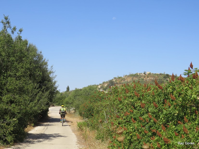 סיבוב קייצי בהרי ירושלים - Raz Goren's Mountain Bike Rides ...
