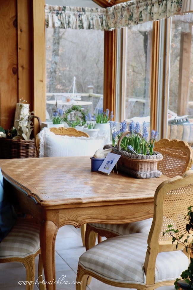 French Country Kitchen large windows and skylights create a sunspace for early spring blue grape hyacinth bulbs to thrive