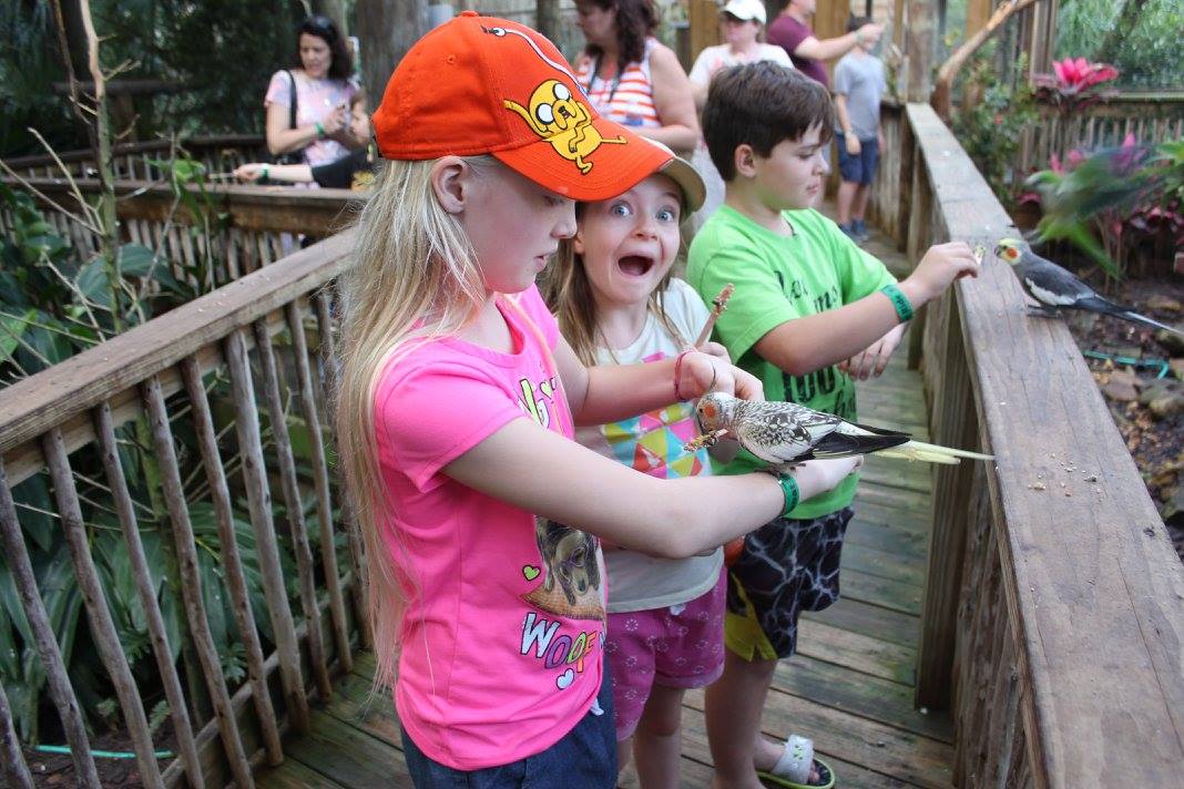 Fun things to do with kids: Wild Florida - Kenansville, FL (psst, it's 