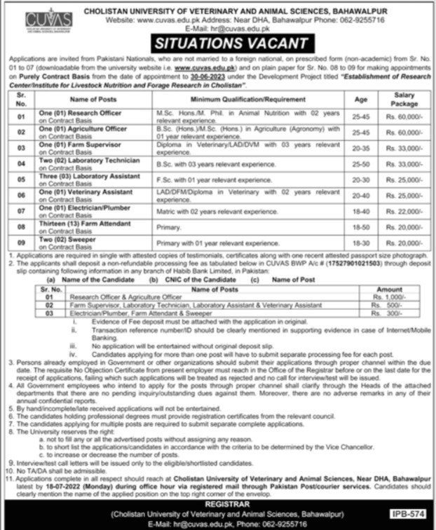 Latest Cholistan University of Veterinary and Animal Sciences CUVAS Management Posts Bahawalpur 2022