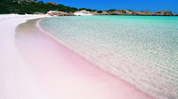 Pesona Pantai Pink Pulau Komodo  Pink Beach 