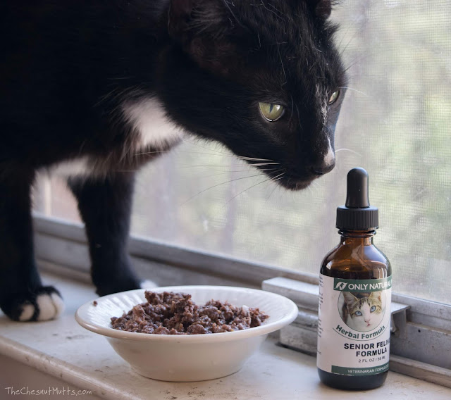 Mini Review: Only Natural Pet Senior Feline Herbal Formula
