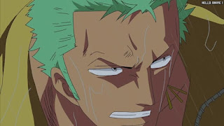 ワンピース アニメ ウォーターセブン編 261話 ロロノア・ゾロ Roronoa Zoro | ONE PIECE Episode 261 Water 7