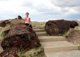 Tessa sat on one of the many giant petrified logs on the Giant Logs trail near the Rainbow Forest Museum entrance of Petrified Forest National Park.