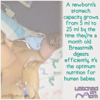 5 Fascinating Breastfeeding Facts