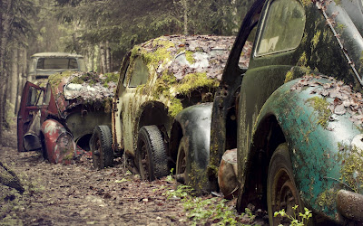 Volkswagen Beetle Vintage Cars Covered with Moss Awesome Photography Car Wallpaper