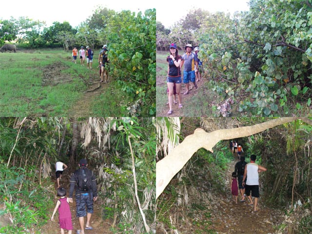 Trail to Calaguas hills