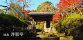 [鎌倉] 浄智寺の紅葉は里山の雰囲気たっぷり！