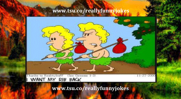Clean Jokes