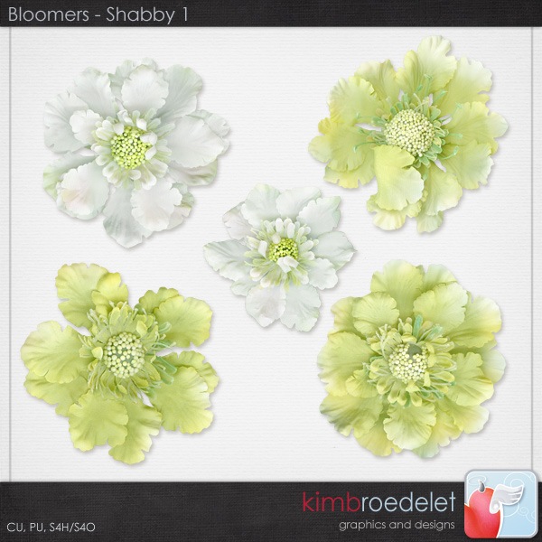 kb-Bloomers_shabby1