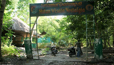 Hutan Nostalgia Pulau Alor