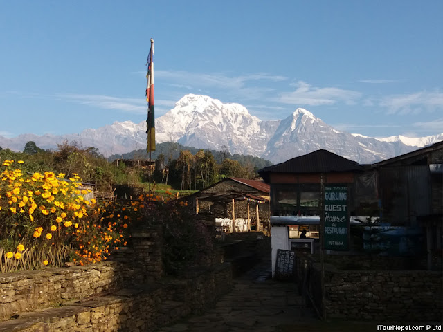 The Gurung village of Pothana with Himalayan background.