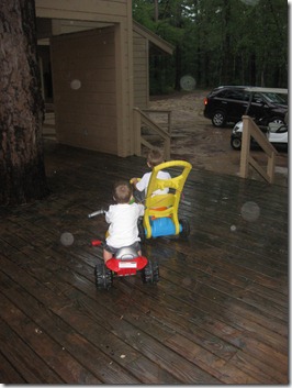 IMG_9309 IMG_9309