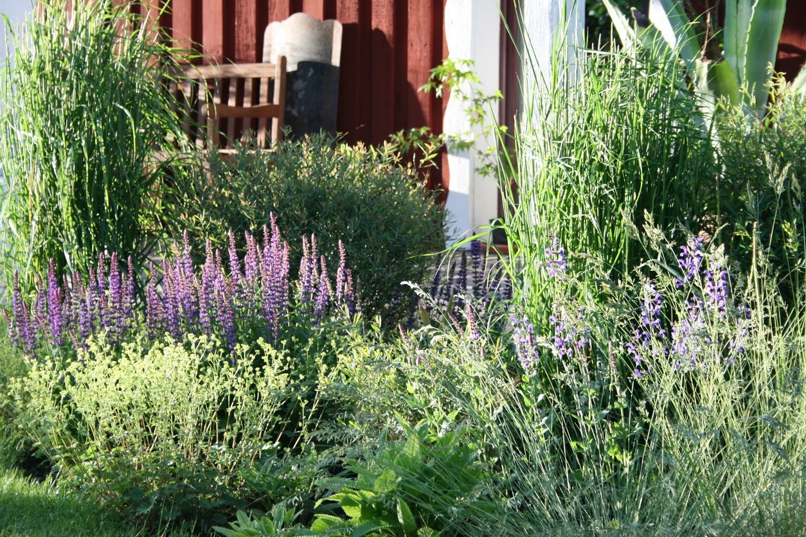 GARDEN STORIES: PRABĖGUSIOS VASAROS SODO VAIZDAI