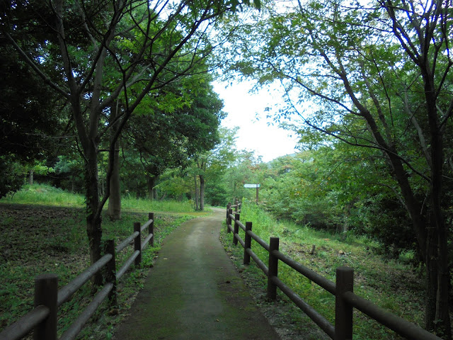 弥生の森遊歩道