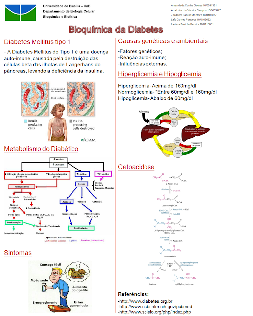 Will Diabetes Cause Kidney Failure : Diabetes: The Basics Of Proper Management Of The Disease