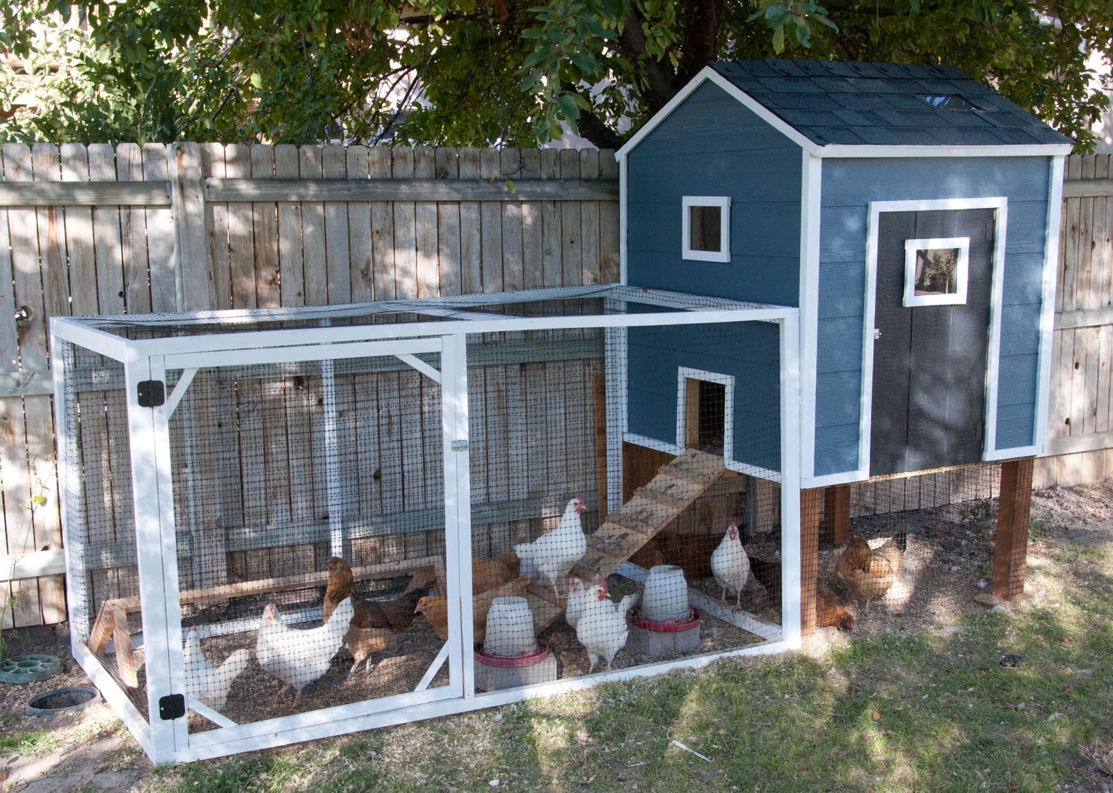 Our Chicken Coop - A story of chickens - Housewives of ...