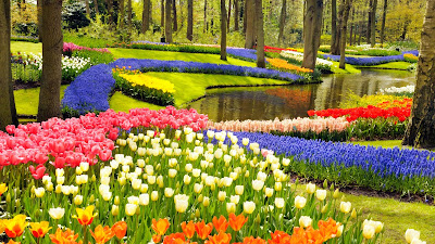 Keukenhof the most beautiful spring garden