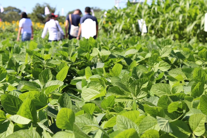 Rodadas de negócios da RO Rural Show movimentam R$ 80 milhões; Porto Velho é última parada