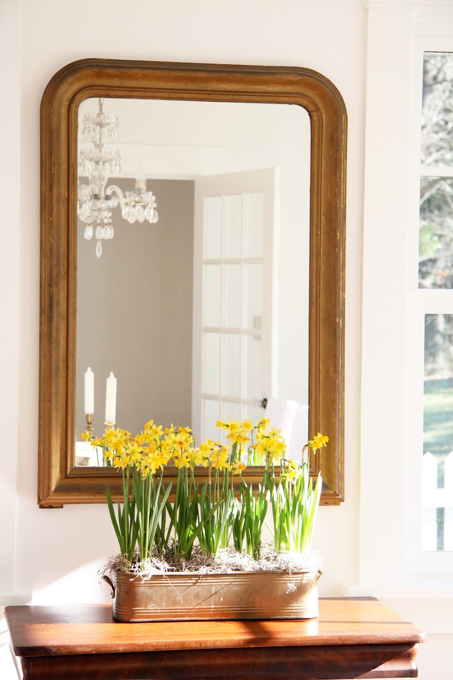 Dining with Daffodils