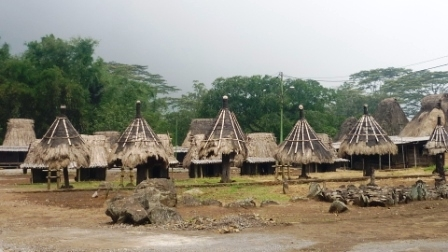 kampung wogo