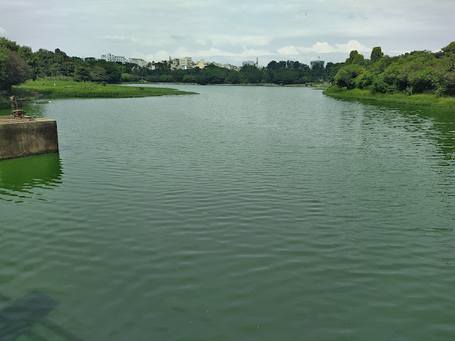 Kempambudhi Lake , Bengaluru 4