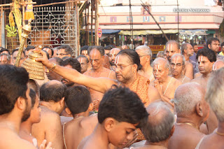 Thiru Ther, Day 06,Brahmotsavam, Thiruvallikeni, Sri PArthasarathy Perumal, Temple, 2017, Video, Divya Prabhandam,Utsavam,