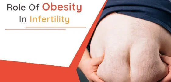 Link Between Obesity and Infertility