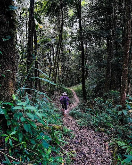 ruta a laguna maxbal