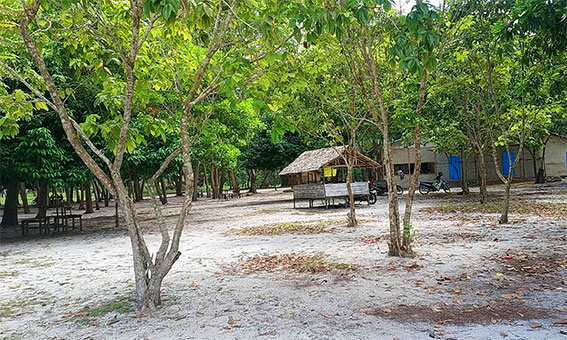 Pepohonan Rindang di Pantai Pasir Mayang Photo