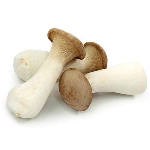 FARM FRESH KING OYSTER MUSHROOMS- 70 RS/200 Gram