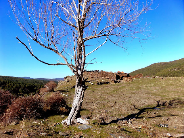 Cortijos Sierra Nevada.Jérez del Marquesado