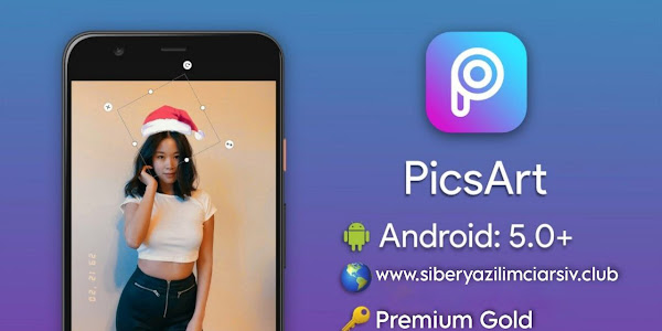 PicsArt Photo Studio v24.9.6 Premium APK