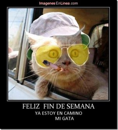 es viernes - fin de semana  (4)