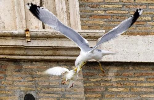 Bad Omen Popes Doves Of Peace For Ukraine Attacked By Angry Birds