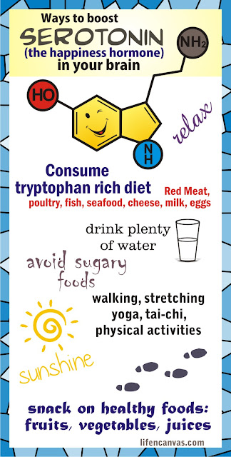 serotonin infographics