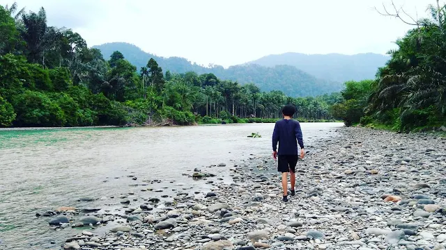 Sungai Batang Serangan Tangkahan