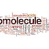 What is Biomolecules And Bond Linking Monomers ?