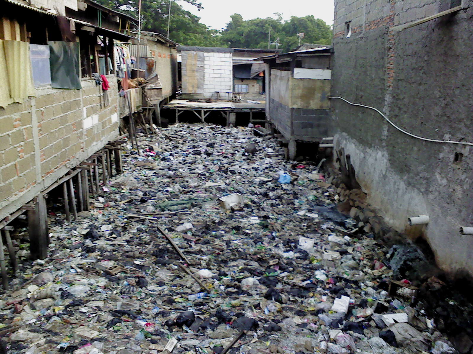 ayu cicemut Dampak Sampah Disekeliling Kita