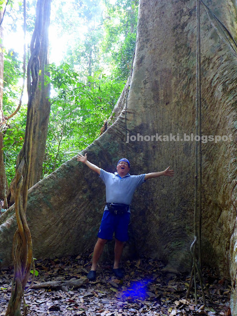 Taman-Negara-Malaysia-National-Forest-Reserve