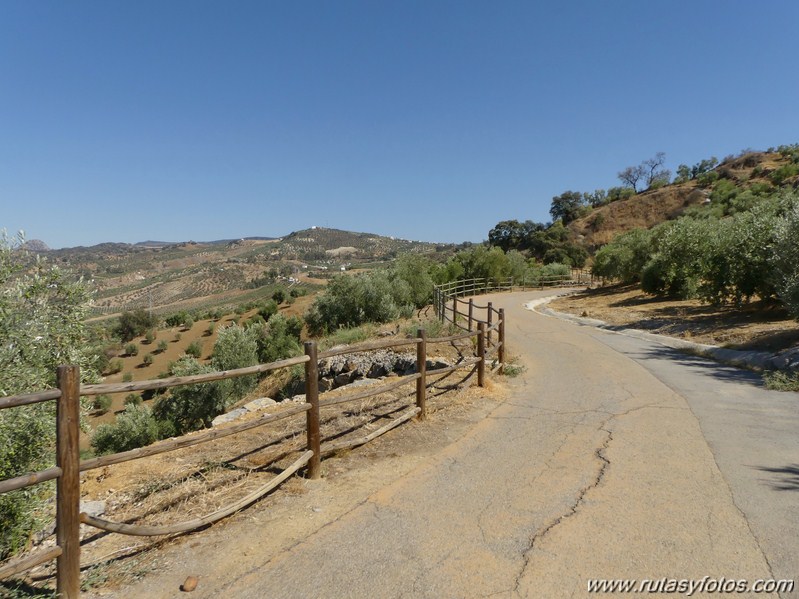 Via Verde de la Sierra: Puerto Serrano - Olvera