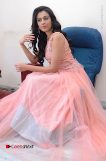 Actress Neha Hinge Stills in Pink Long Dress at Srivalli Teaser Launch  0139.JPG